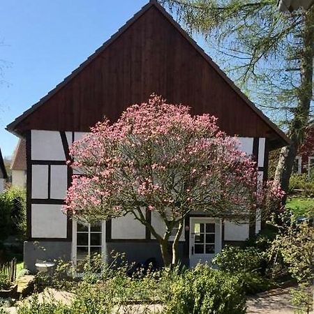 Gemuetliches Ferienhaus Im Extertal/ Lippe Экстерьер фото